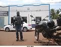 Click image for larger version

Name:	3523 - Miranda do Norte-MA.jpg
Views:	1
Size:	71,3 KB
ID:	446282