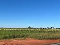 Click image for larger version

Name:	Bela Vista 05.jpg
Views:	1
Size:	60,9 KB
ID:	663358