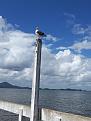 Click image for larger version

Name:	São chico gaivota.jpg
Views:	1
Size:	54,2 KB
ID:	456640