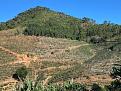 Click image for larger version

Name:	Guaçuí.jpg
Views:	1
Size:	100,8 KB
ID:	739035