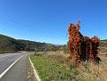 Click image for larger version

Name:	Guaçuí 3.jpg
Views:	1
Size:	86,4 KB
ID:	739038