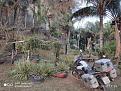 Click image for larger version

Name:	IMG_20201010_175533.jpg
Views:	1
Size:	98,5 KB
ID:	429640