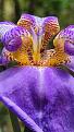 Click image for larger version

Name:	flor.jpg
Views:	1
Size:	61,2 KB
ID:	686676
