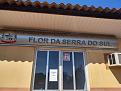 Click image for larger version

Name:	18. Flor da Serra do Sul.jpg
Views:	3
Size:	53,5 KB
ID:	423312