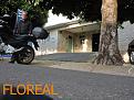 Click image for larger version

Name:	113 Floreal (Copy).jpg
Views:	1
Size:	88,4 KB
ID:	362986