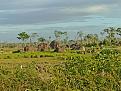 Click image for larger version

Name:	IMG_20240124_065950.jpg
Views:	2
Size:	84,8 KB
ID:	662457
