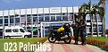 Click image for larger version

Name:	Palmitos .jpg
Views:	1
Size:	67,5 KB
ID:	423666