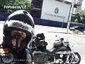 Click image for larger version

Name:	Fortaleza.jpg
Views:	1
Size:	86,8 KB
ID:	424095