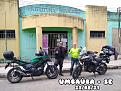 Click image for larger version

Name:	Umbaúba.jpg
Views:	1
Size:	91,3 KB
ID:	495594