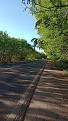 Click image for larger version

Name:	PANTANAL ESTRADA.jpg
Views:	1
Size:	82,9 KB
ID:	600177