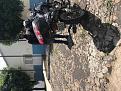Click image for larger version

Name:	IMG_2126.jpg
Views:	1
Size:	99,3 KB
ID:	444609