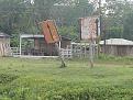 Click image for larger version

Name:	IMG_20210714_080352430.jpg
Views:	1
Size:	87,7 KB
ID:	512567