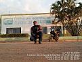 Click image for larger version

Name:	018-Aurora do Tocantins-TO.jpg
Views:	1
Size:	99,0 KB
ID:	704082