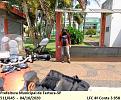 Click image for larger version

Name:	162 Fartura DSC00452.jpg
Views:	2
Size:	97,9 KB
ID:	436474