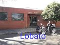 Click image for larger version

Name:	LOBATO.jpg
Views:	2
Size:	72,0 KB
ID:	366623