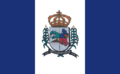 Click image for larger version  Name:	120px-Bandeira_de_Cerro_Azul.png Views:	1 Size:	5,5 KB ID:	629455