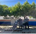 Click image for larger version

Name:	68.jpg
Views:	1
Size:	24,0 KB
ID:	739466