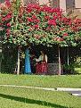 Click image for larger version

Name:	Iporã do Oeste 4.jpg
Views:	1
Size:	104,7 KB
ID:	471286