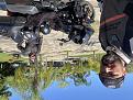 Click image for larger version

Name:	IMG_7811.jpg
Views:	1
Size:	99,4 KB
ID:	662703