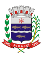 Click image for larger version

Name:	386. Pirajuí.png
Views:	1
Size:	11,7 KB
ID:	396807