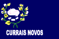 Bandeira do Municipio