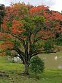 Click image for larger version

Name:	Extras 20.jpg
Views:	1
Size:	95,7 KB
ID:	510006
