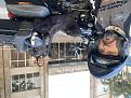 Click image for larger version

Name:	IMG_8218.jpg
Views:	1
Size:	87,0 KB
ID:	662515