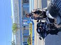 Click image for larger version

Name:	IMG_8234.jpg
Views:	2
Size:	94,5 KB
ID:	662539