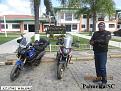 Click image for larger version

Name:	185-Palmeira-SC.jpg
Views:	2
Size:	97,4 KB
ID:	364385