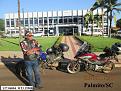 Click image for larger version

Name:	186-Palmito-SC.jpg
Views:	2
Size:	94,7 KB
ID:	364386