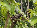 Click image for larger version

Name:	IMG_20210706_102126705.jpg
Views:	1
Size:	82,9 KB
ID:	511183