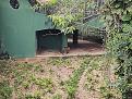 Click image for larger version

Name:	IMG_20210706_104039530.jpg
Views:	1
Size:	102,7 KB
ID:	511202