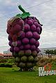 Click image for larger version

Name:	054 - Marialva  (1).jpg
Views:	1
Size:	48,4 KB
ID:	719171