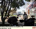 Click image for larger version

Name:	168-497 - Farroupilha.jpg
Views:	1
Size:	96,8 KB
ID:	357858
