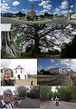 Click image for larger version

Name:	118-167_Pedro Velho_Vistas.jpg
Views:	1
Size:	96,3 KB
ID:	398370