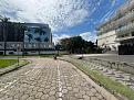 Click image for larger version

Name:	118 Ipatinga.;..jpg
Views:	2
Size:	99,0 KB
ID:	727747