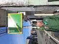 Click image for larger version

Name:	santa rita 1.jpg
Views:	0
Size:	96,7 KB
ID:	398644
