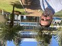 Click image for larger version

Name:	Campo Grande 3.jpg
Views:	4
Size:	98,7 KB
ID:	447417