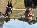 Click image for larger version

Name:	IMG_8426 BRASILIA DF.jpg
Views:	0
Size:	81,7 KB
ID:	488298